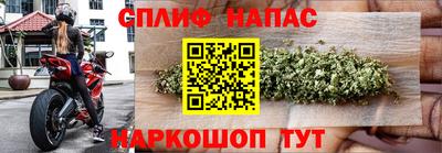 бошки Краснодар