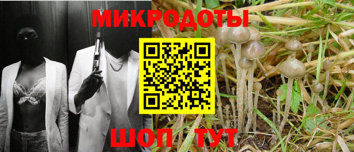Псилоцибиновые грибы Magic Shrooms Клинцы