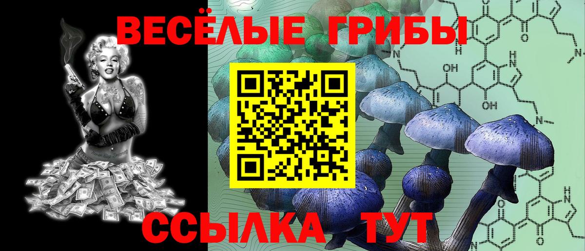Псилоцибиновые грибы мицелий  Вход с VPN  Клинцы  Псилоцибиновые грибы мухоморы 